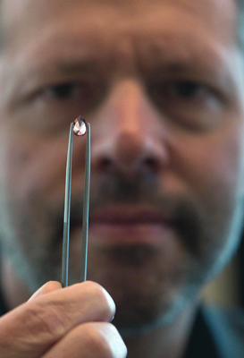 Managing director of diamonds at mining giant Rio Tinto Jean Marc Lieberherr displays an 'Argyle Prima' 1.20 carat red diamond during a tender of a collection of 65 extremely rare pink and red diamonds in Hong Kong on Monday (AFP photo)